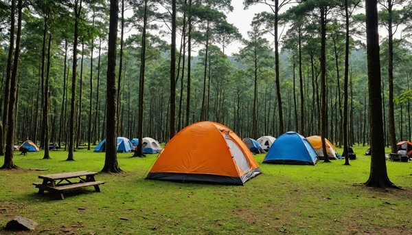 Découvrez les meilleures expériences de camping à damgan